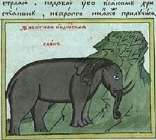 Невинно убиенный бежецкий слон 
(с рисунка сочувствующего очевидца XVIв, 
надпись гласит: 
`слон - животное индийское`